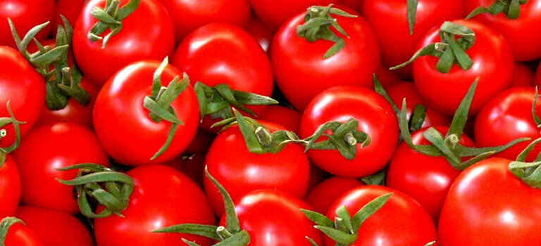 Convenience store Serper Gida, Antakya, photo