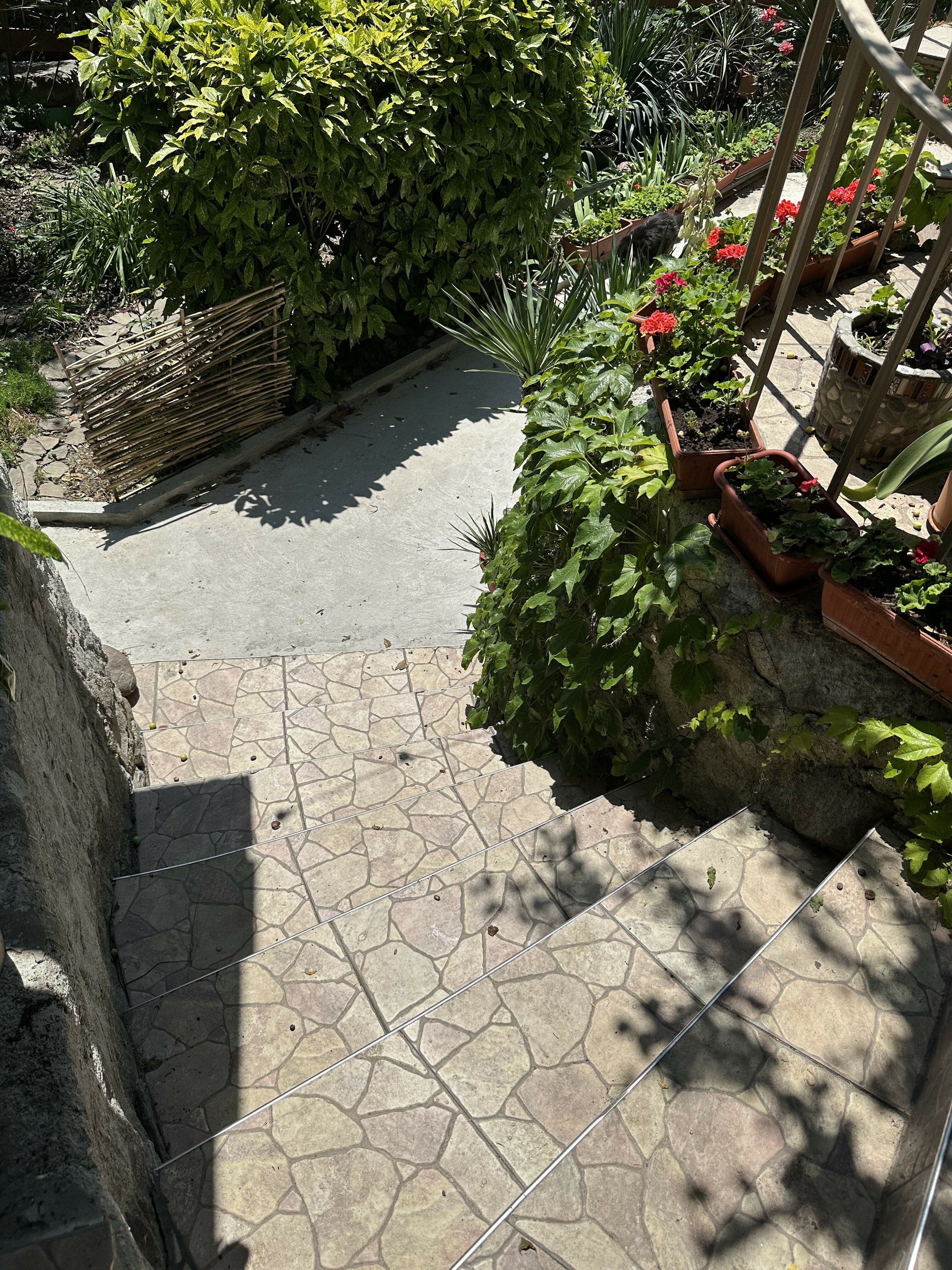 Фото Теремок