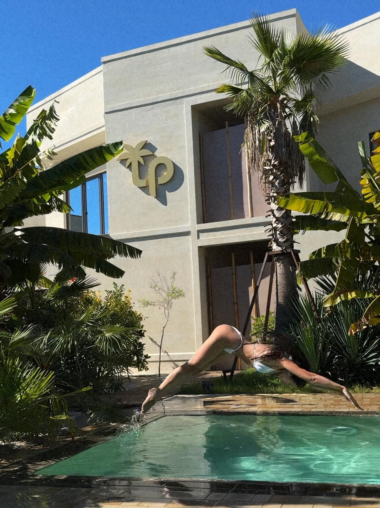 Фото Little Palm