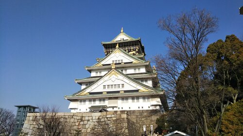 Гостиница Sarasa Hotel Shinsaibashi
