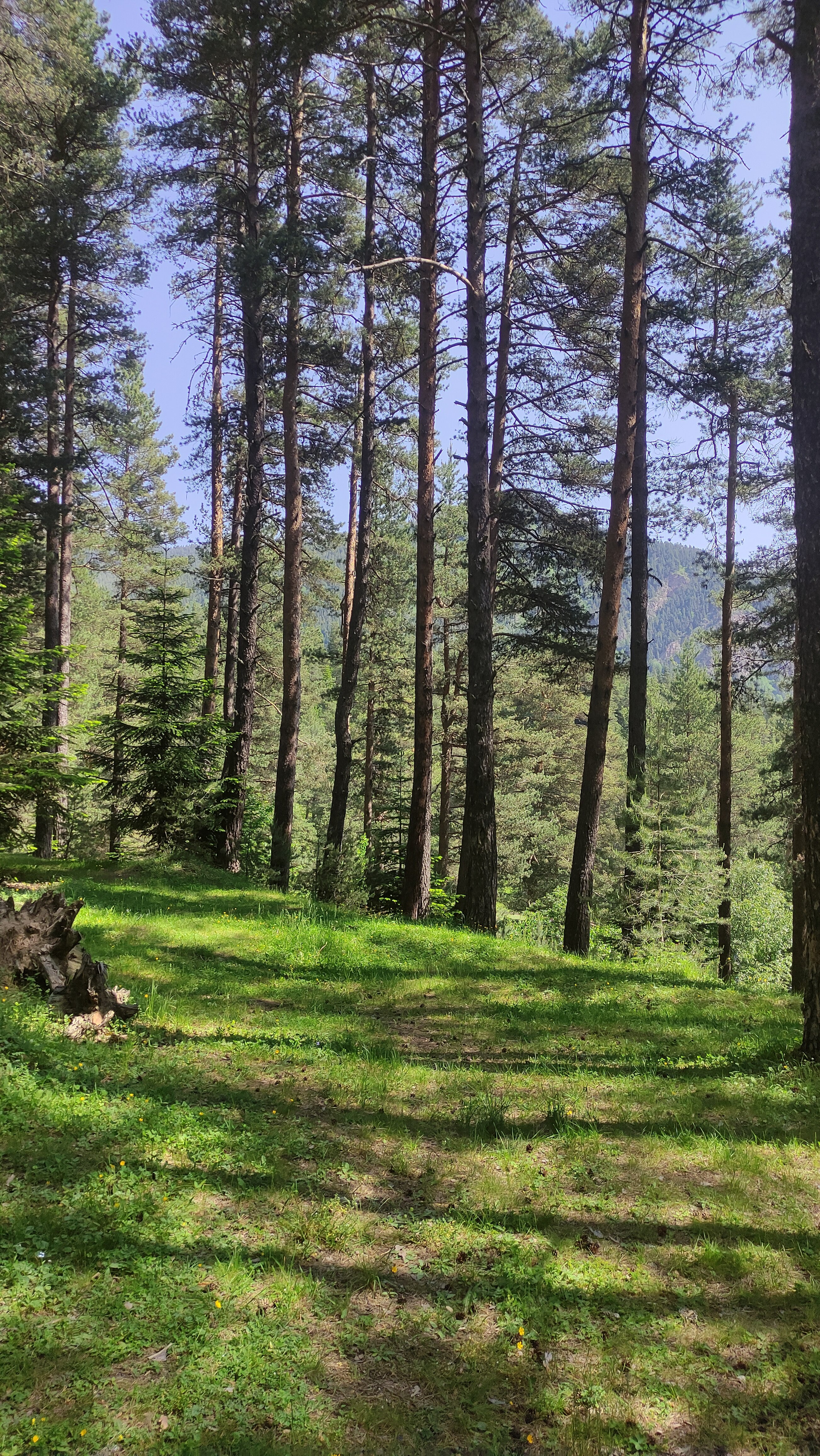 Фото Тихое Место