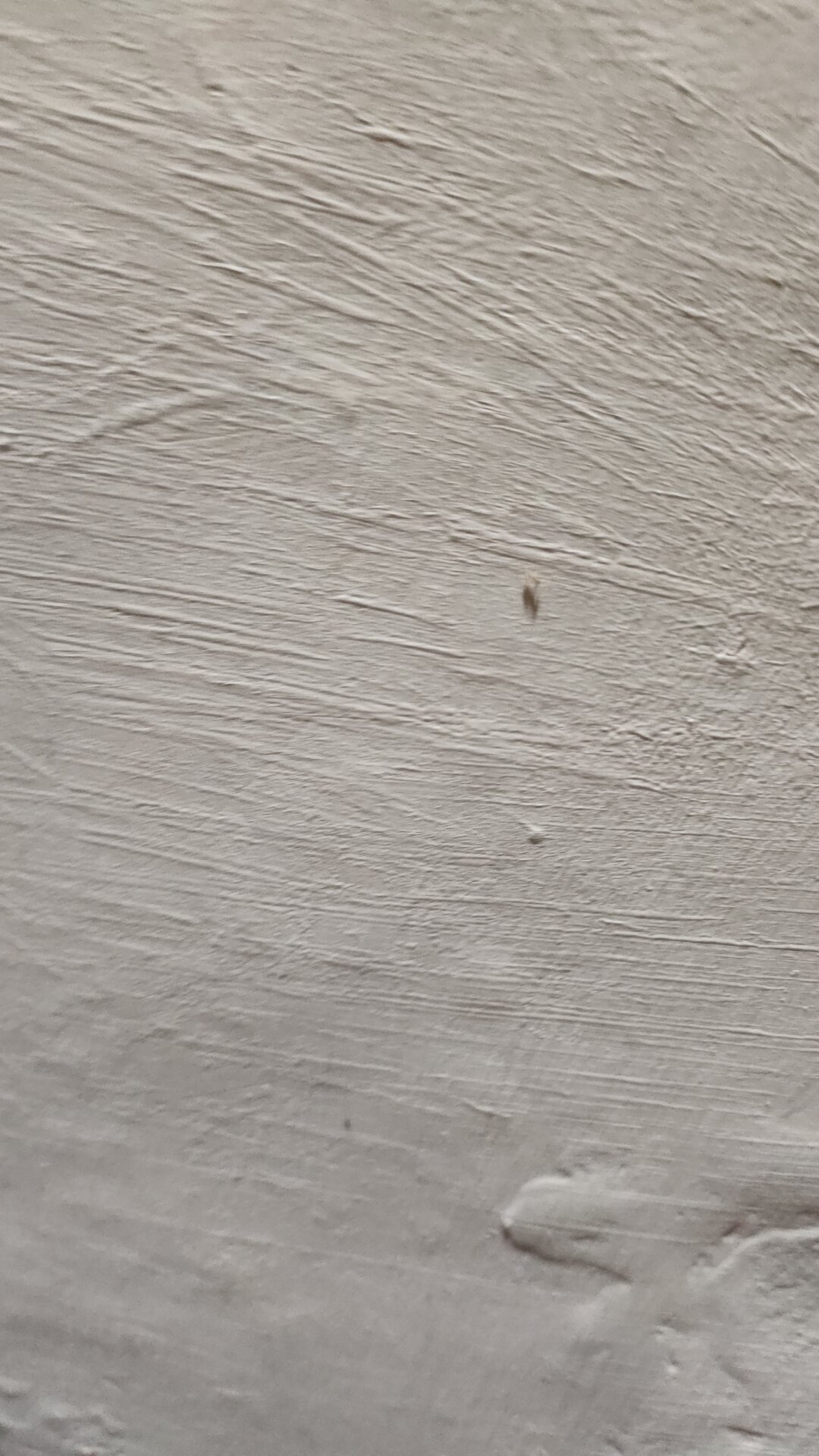 Фото Arjuna Homestay Ubud