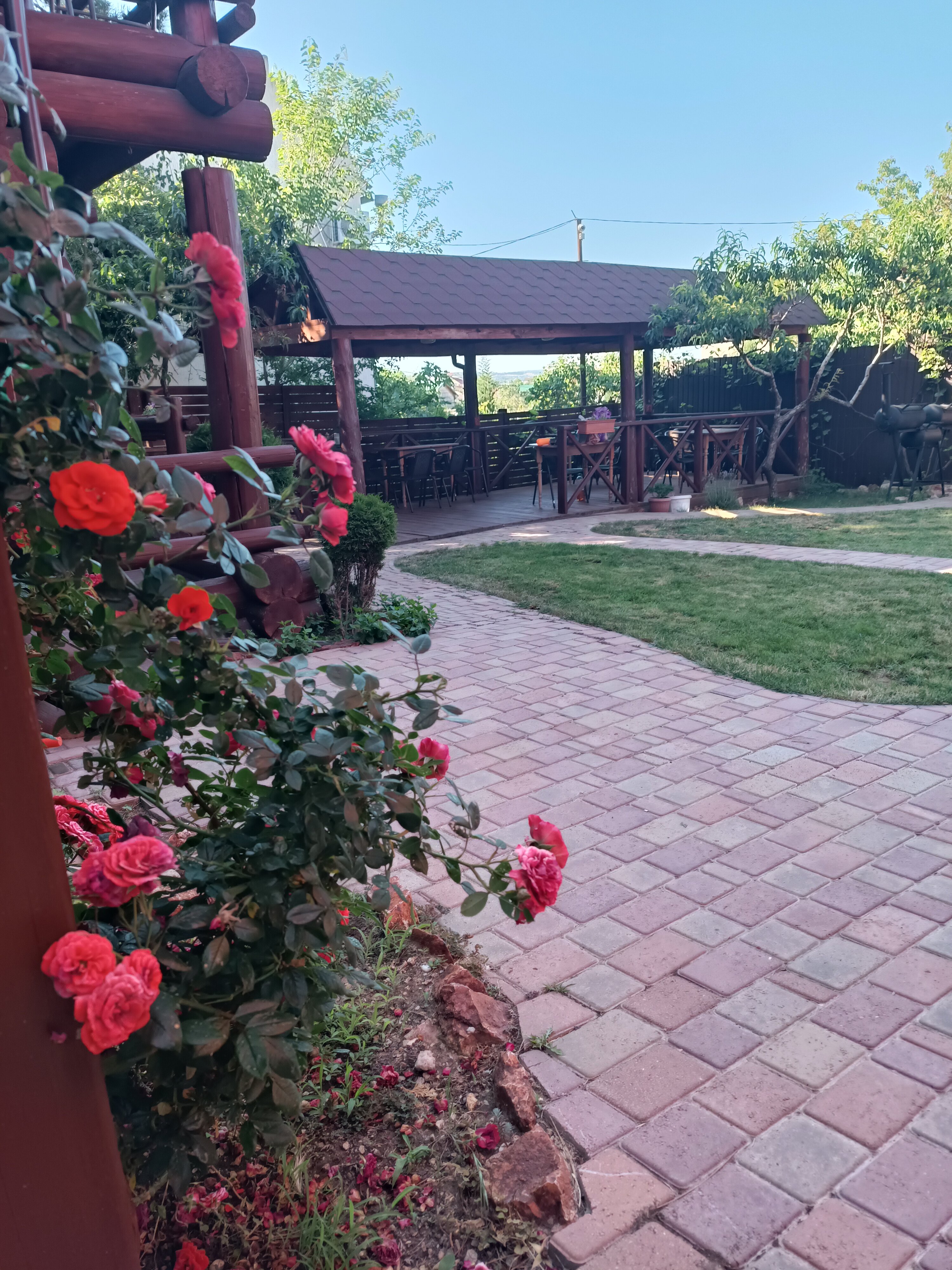 Фото Сосновый двор