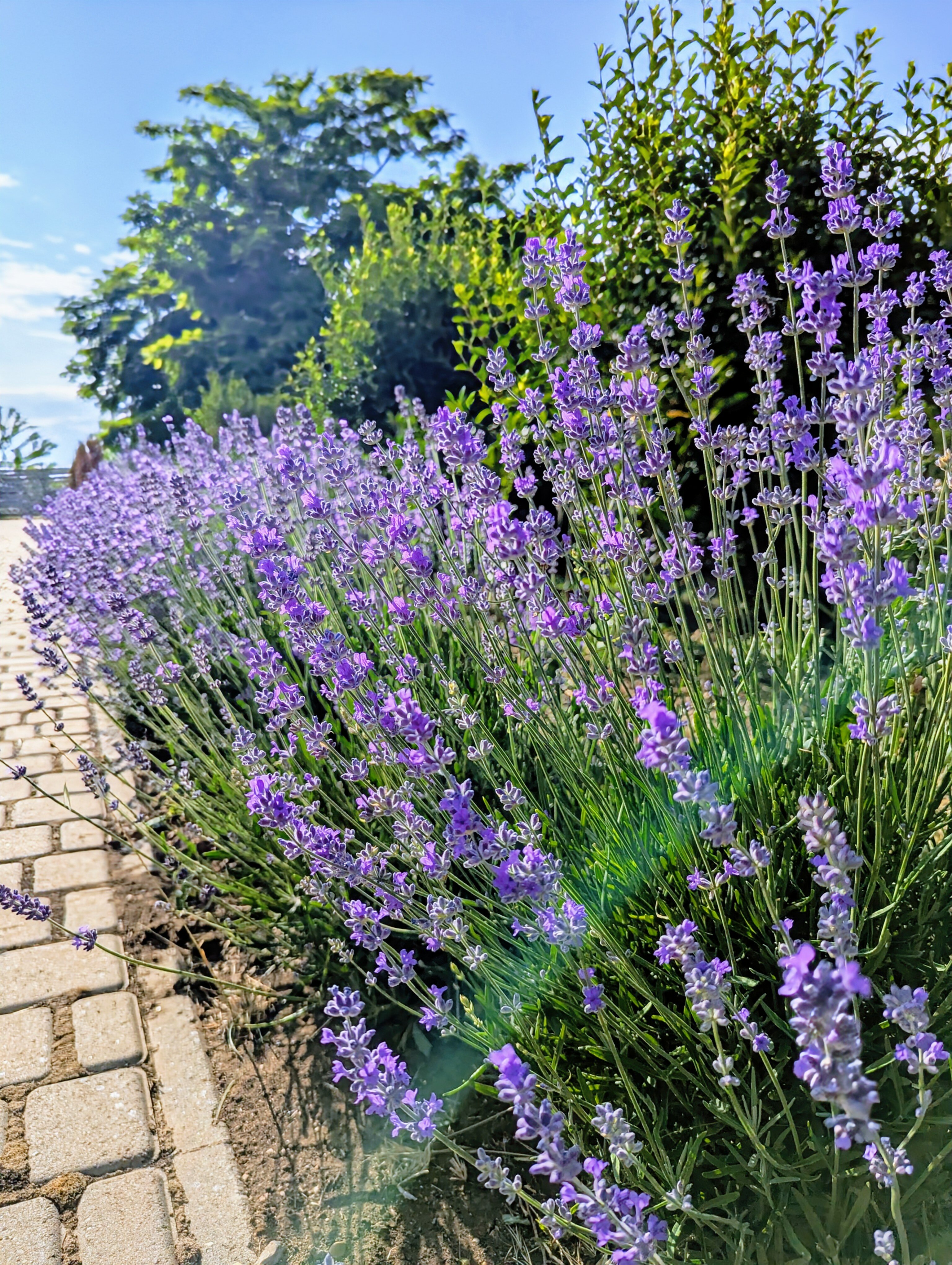 Фото Fiolent Travel