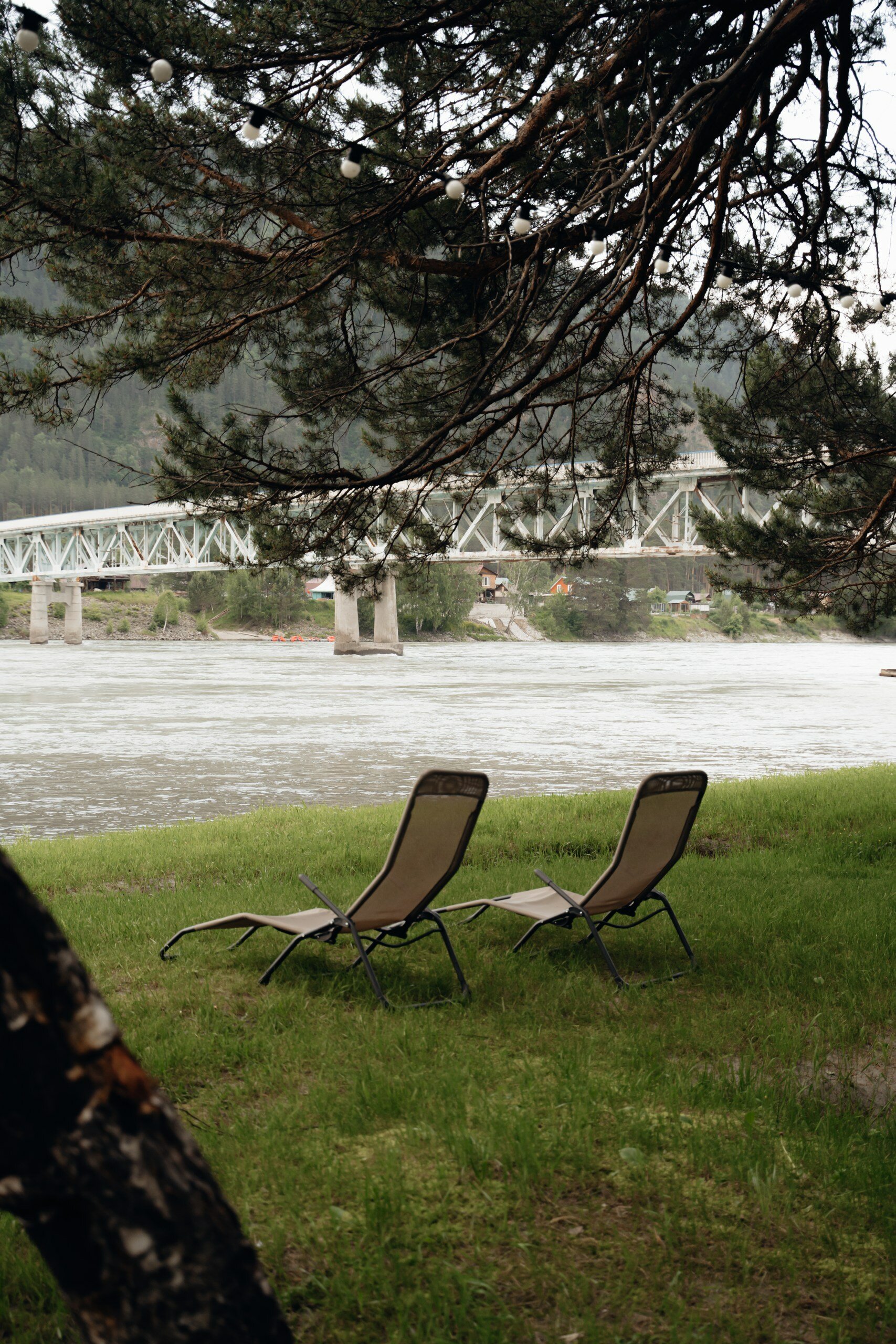 Фото Камышла Парк