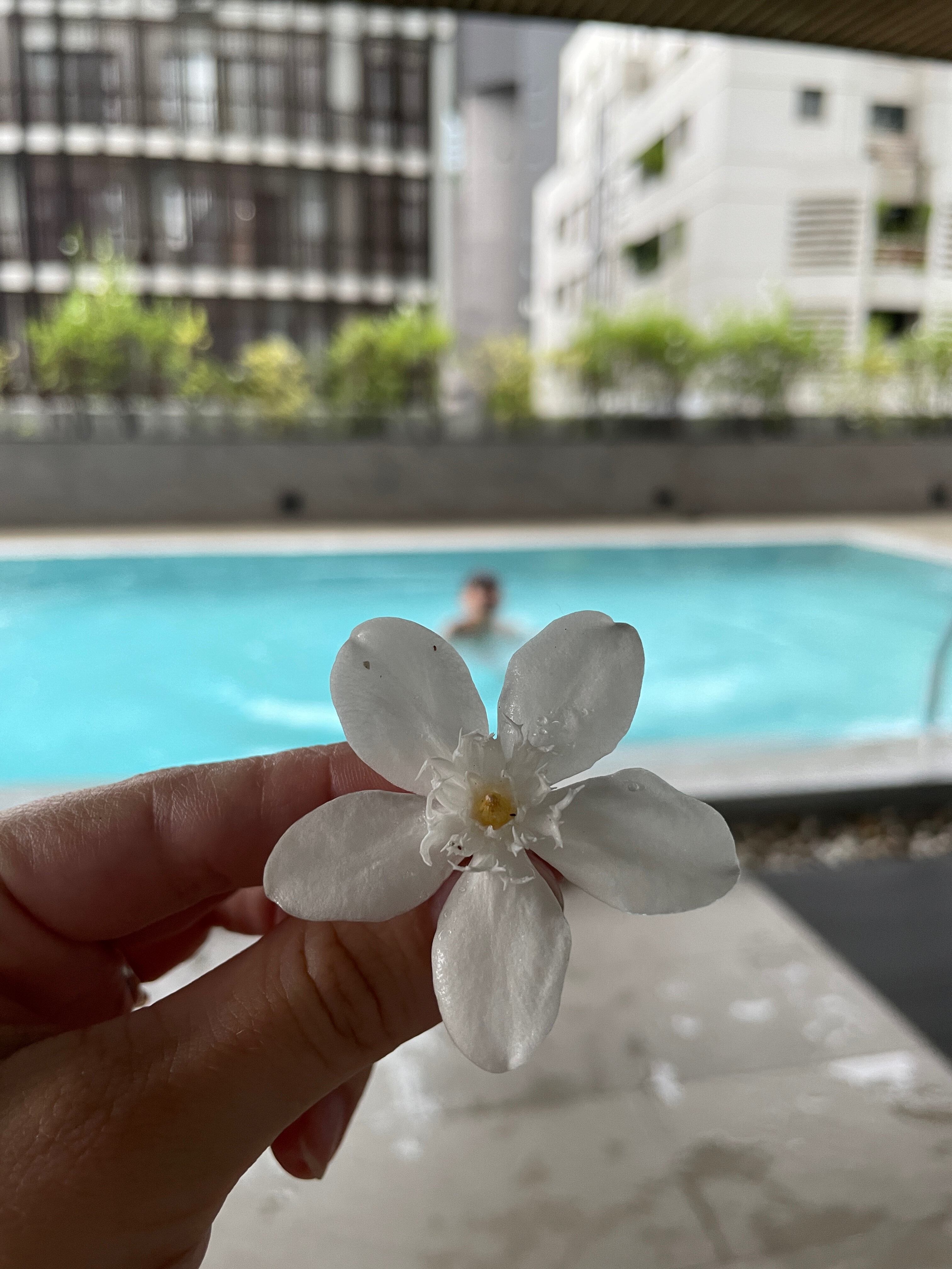 Фото The Cotton Saladaeng