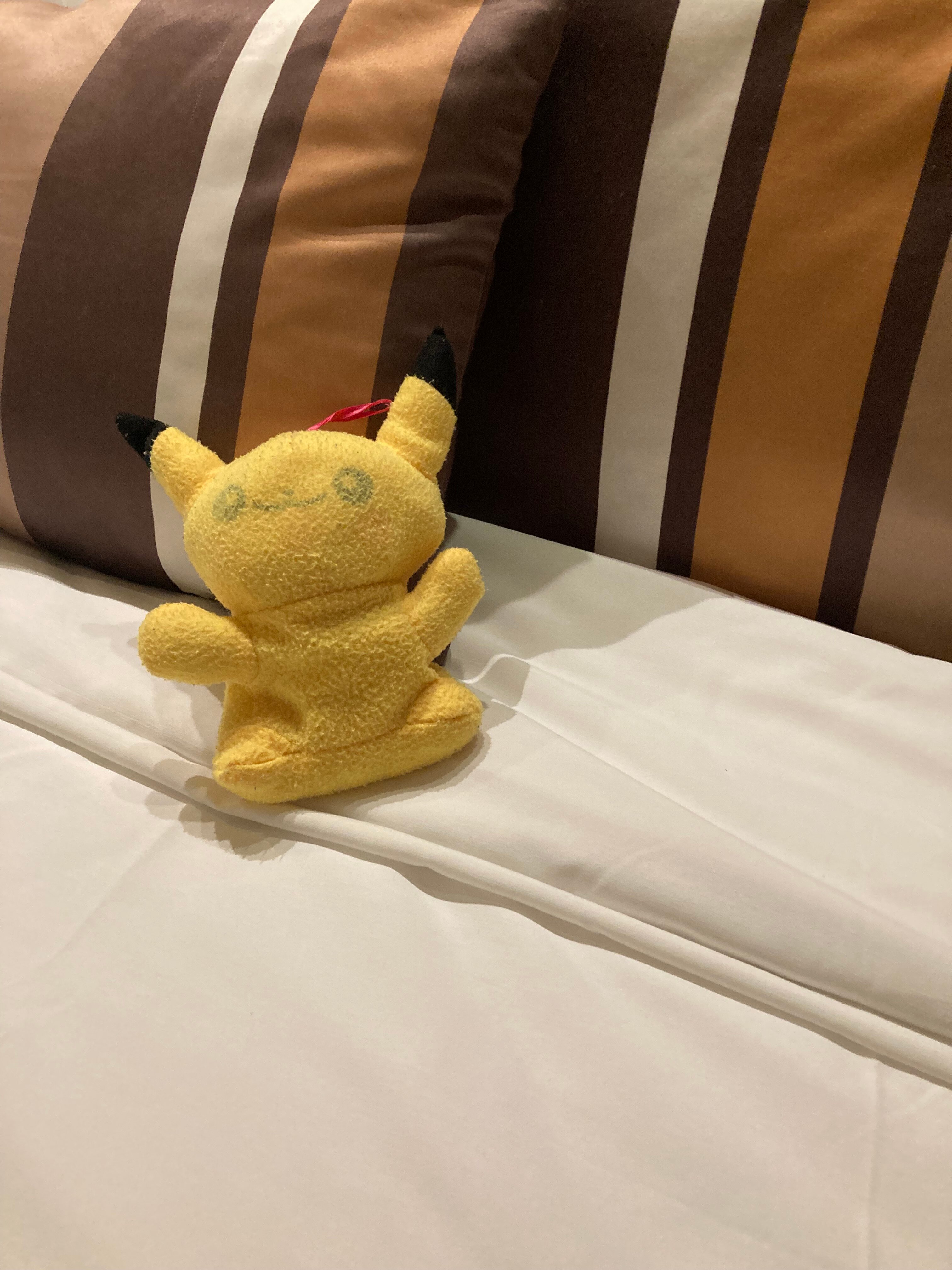 Фото Borjomi Likani