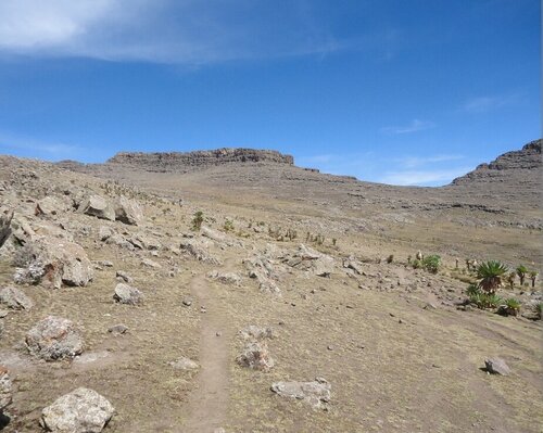 Dağ zirvesi Ras Dejen 4533 meters, Dünya, foto