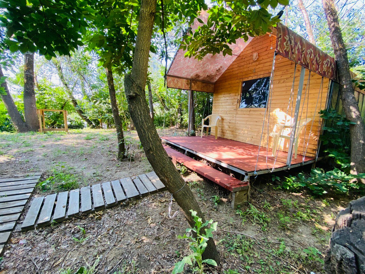 Фото Звезда