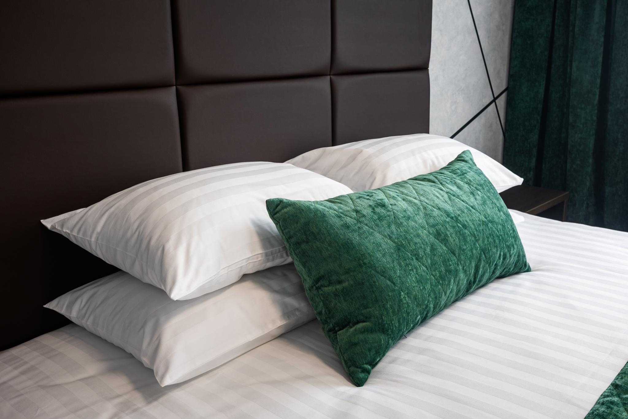 Фото Дружба