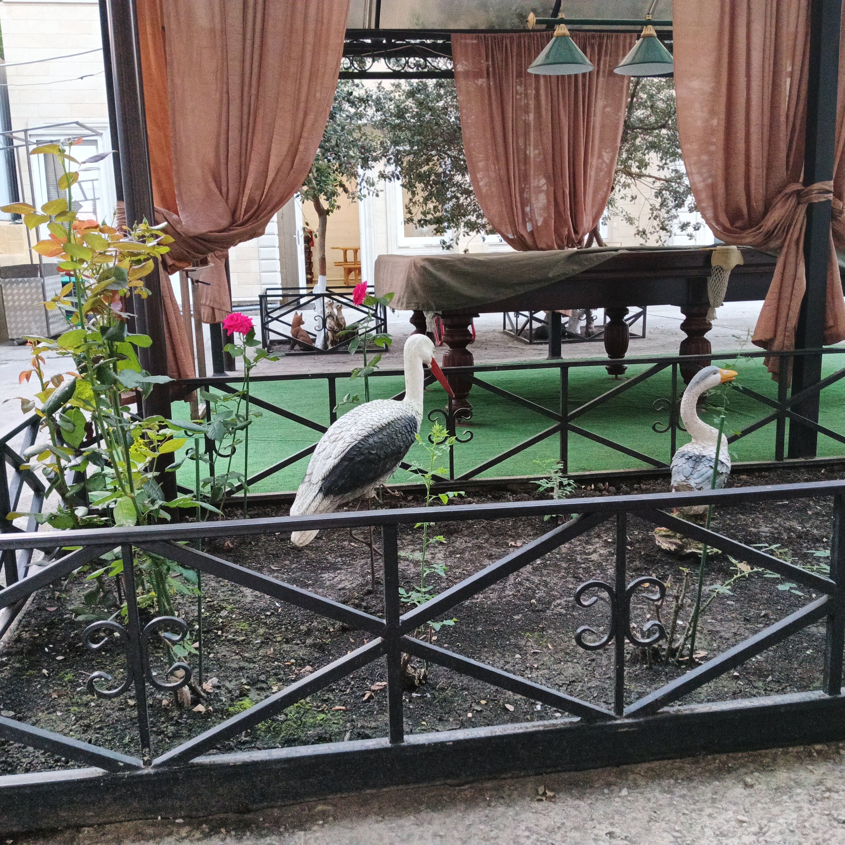 Фото Динара