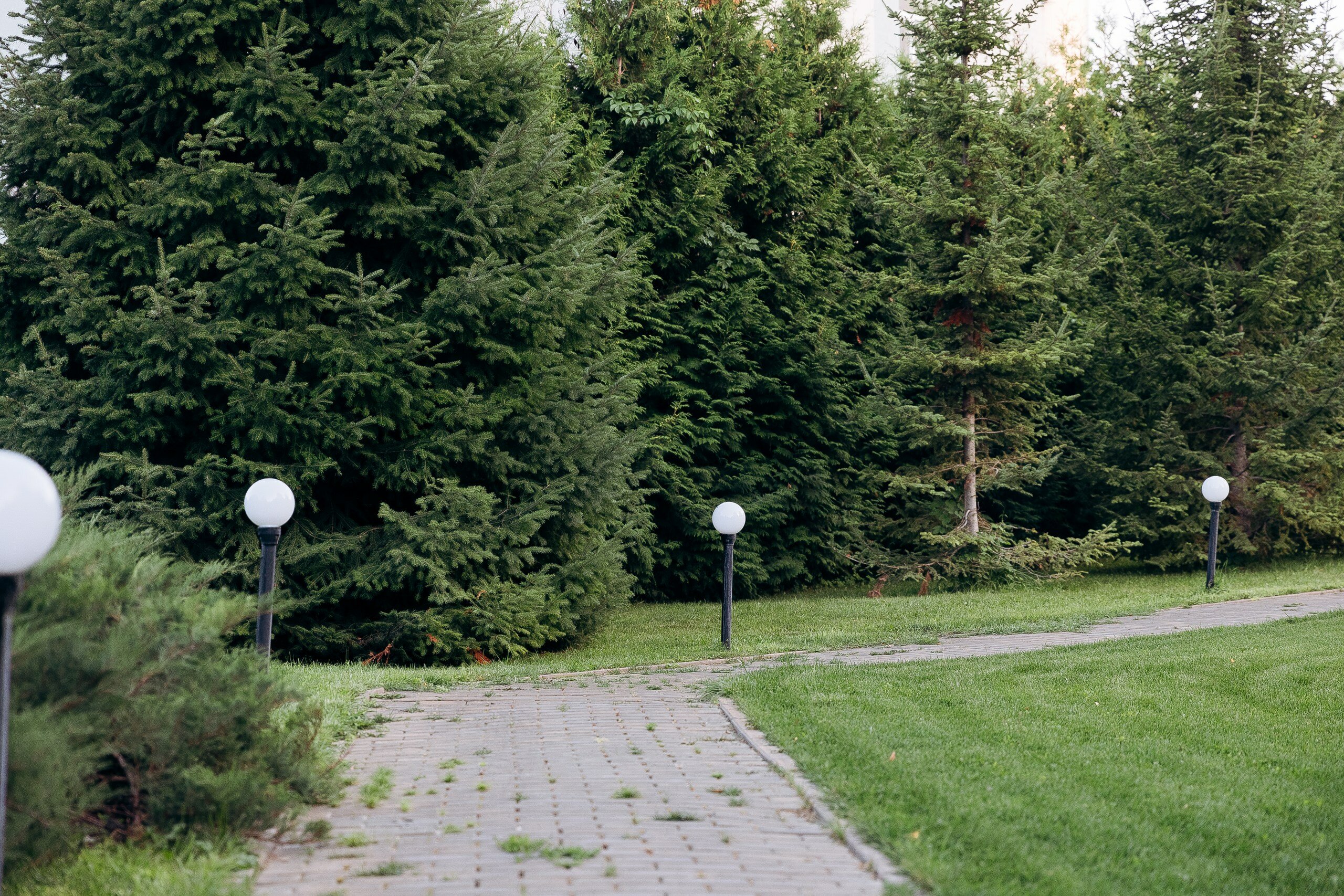 Фото Для Вас