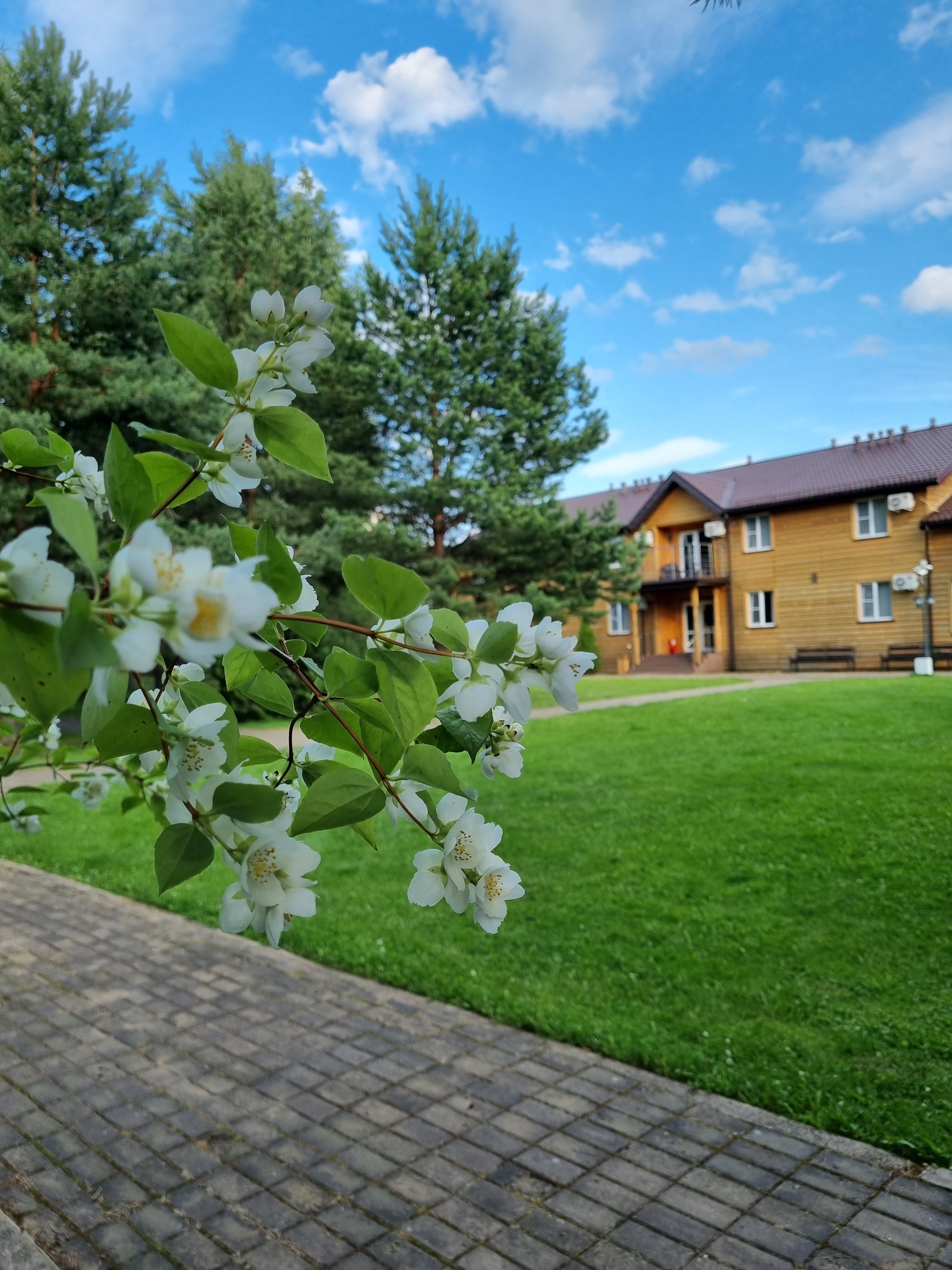 Фото На Чеснаве