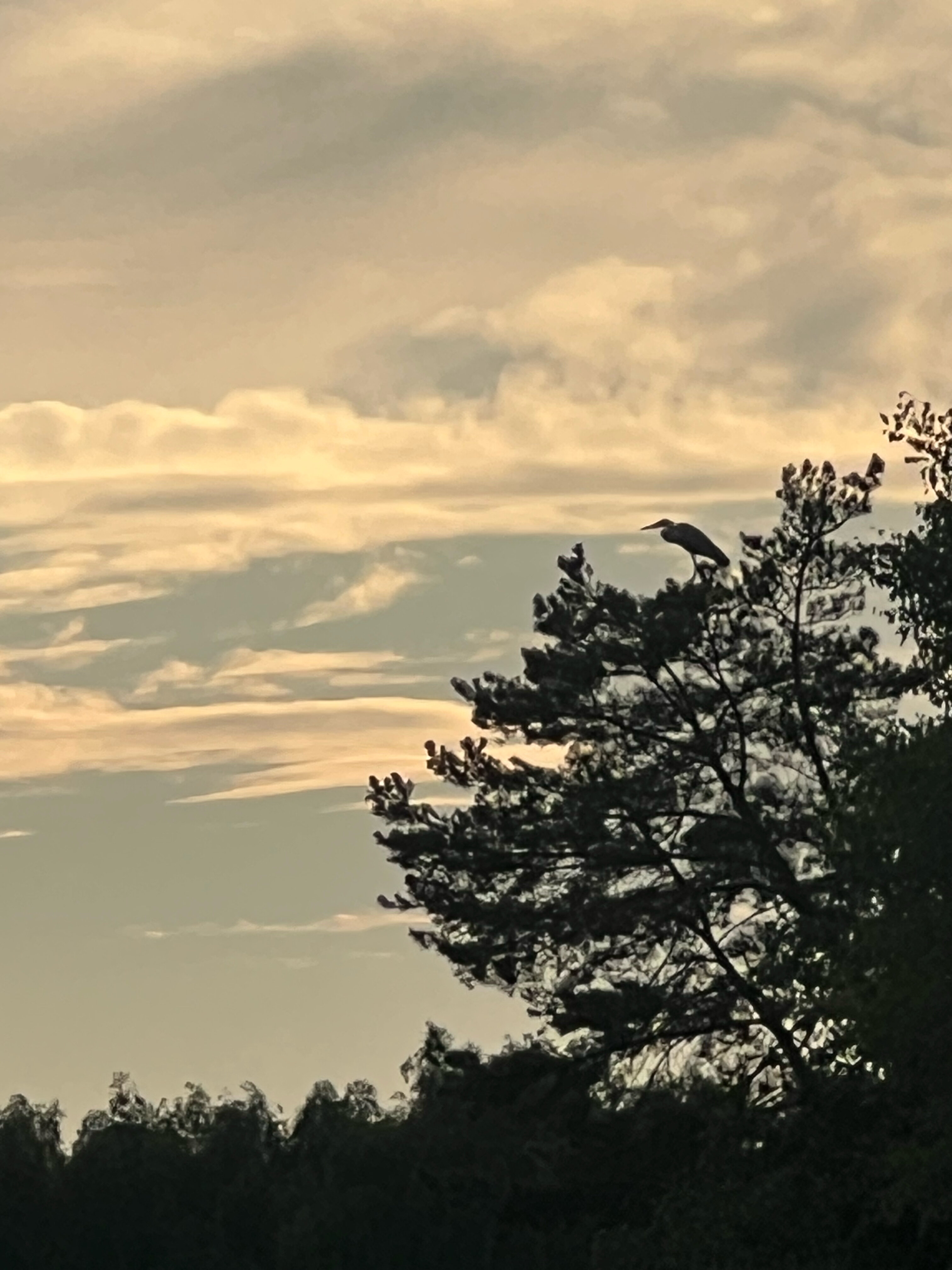 Фото БарнБаш