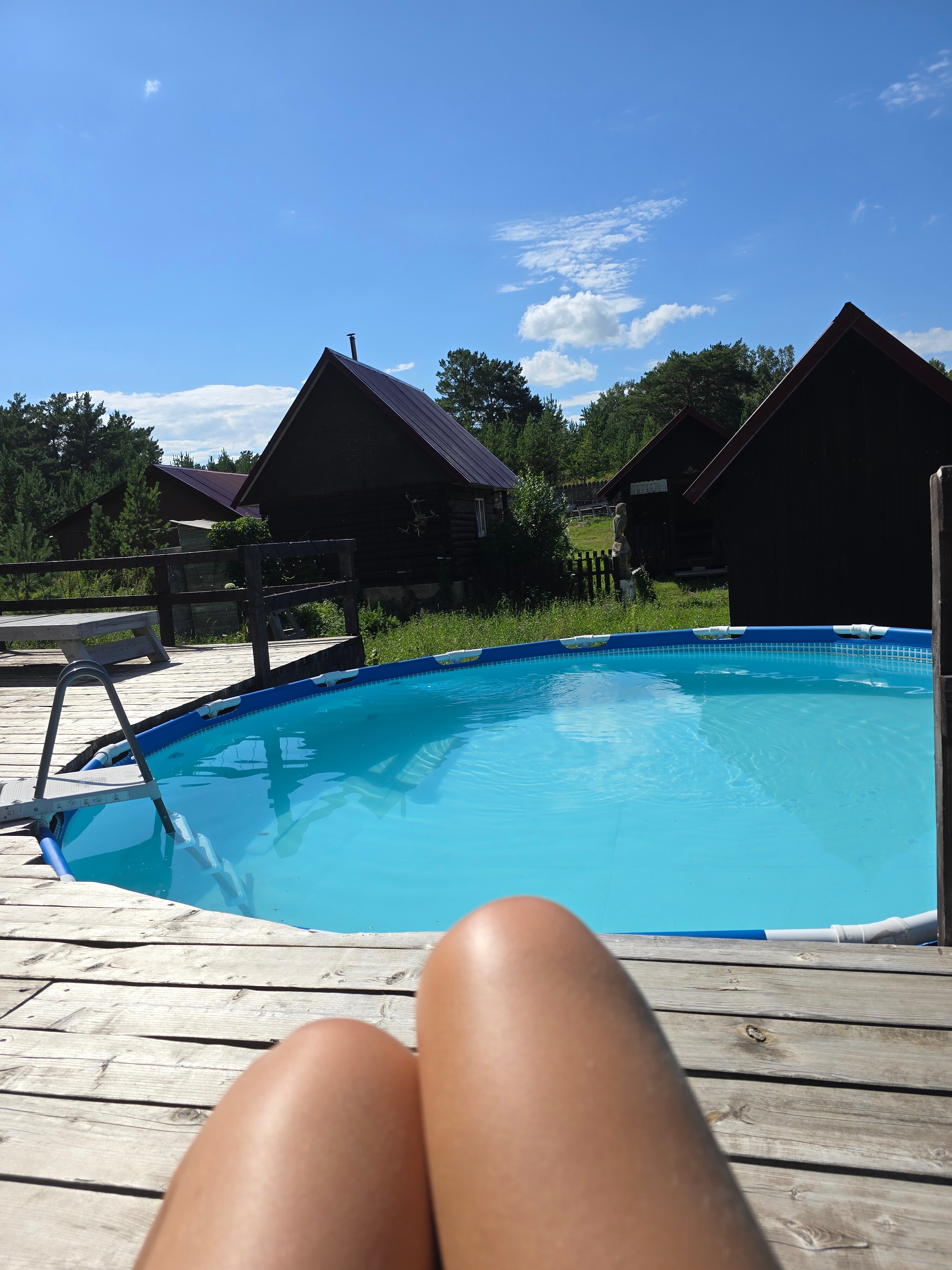 Фото Медная Сова