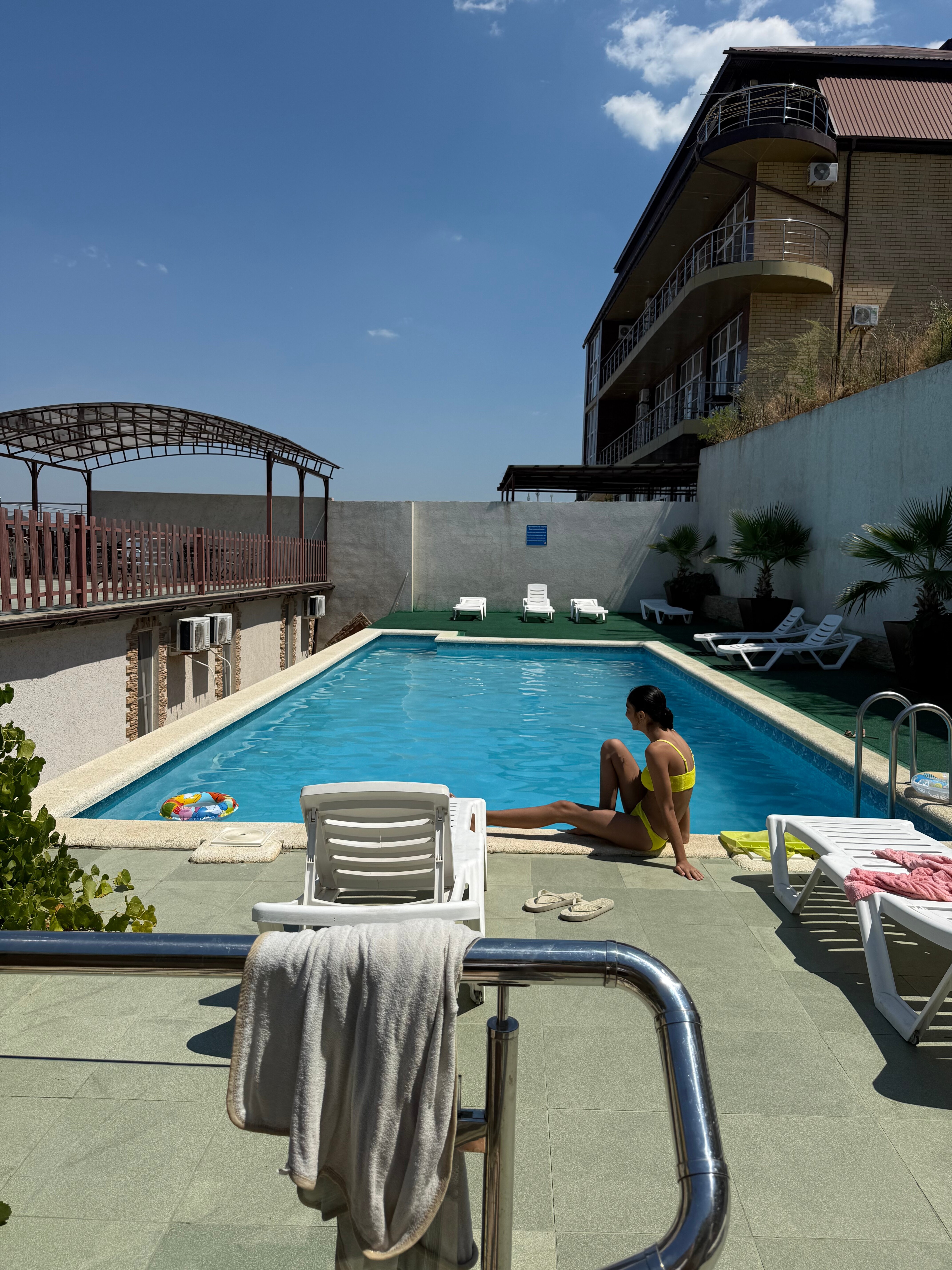 Фото Пальма Финик