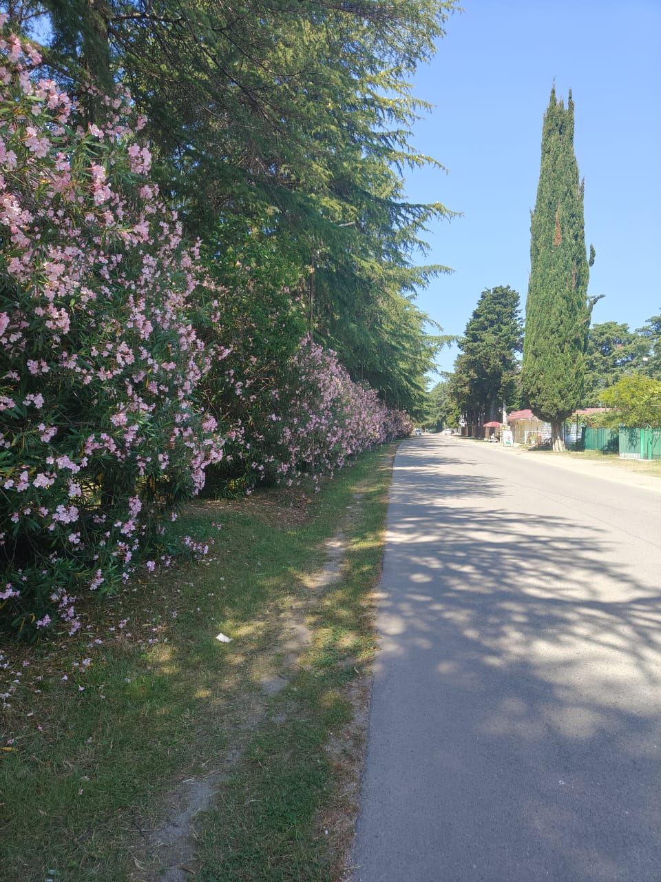 Фото Шале у моря