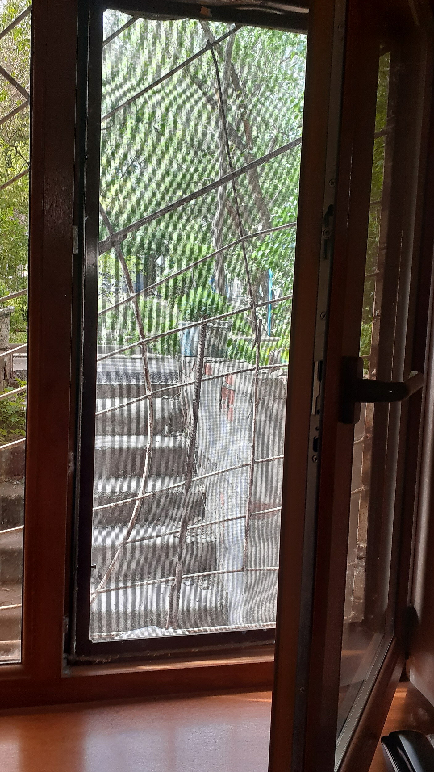 Фото Каштан