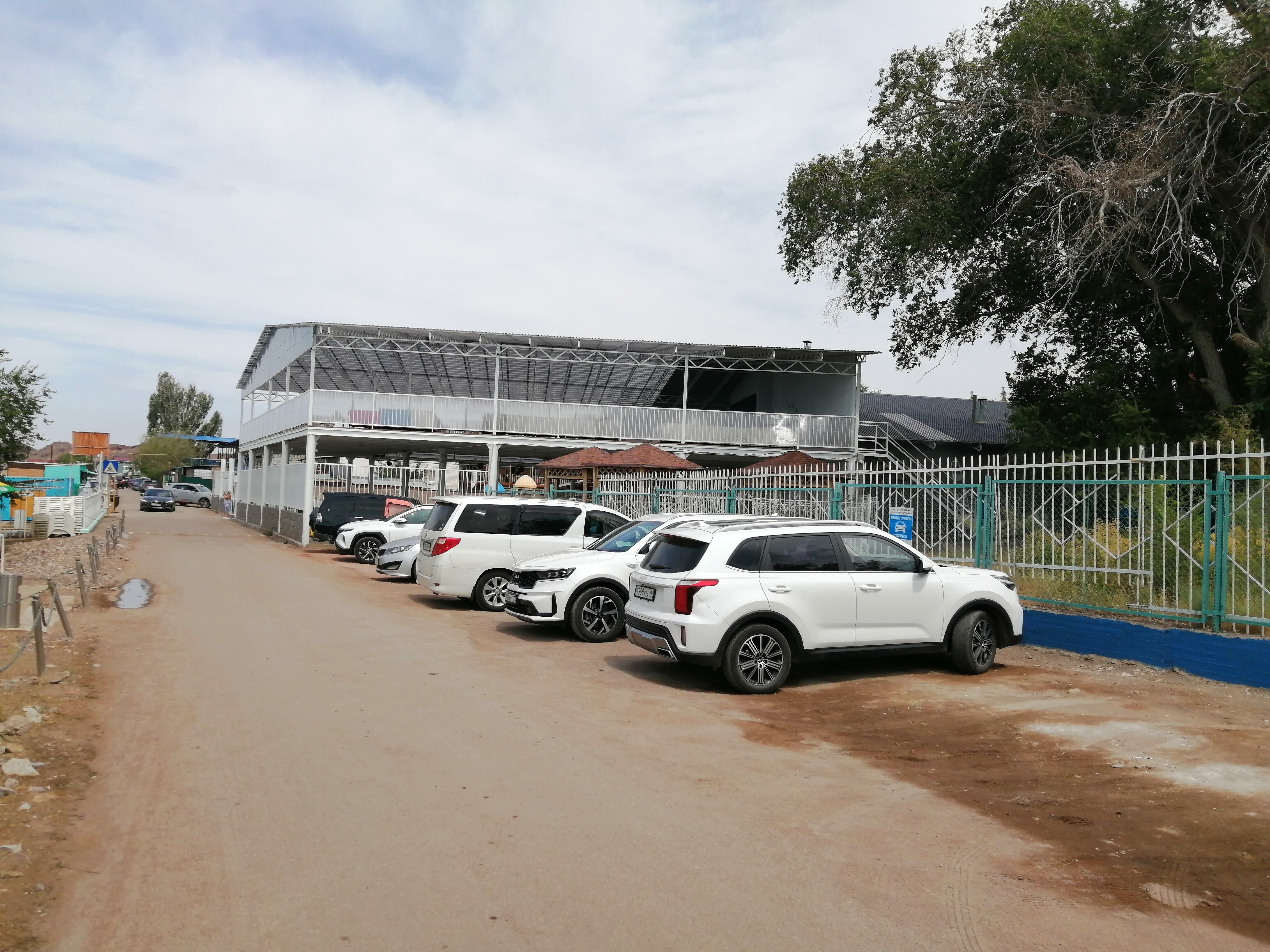 Фото Жемчужина