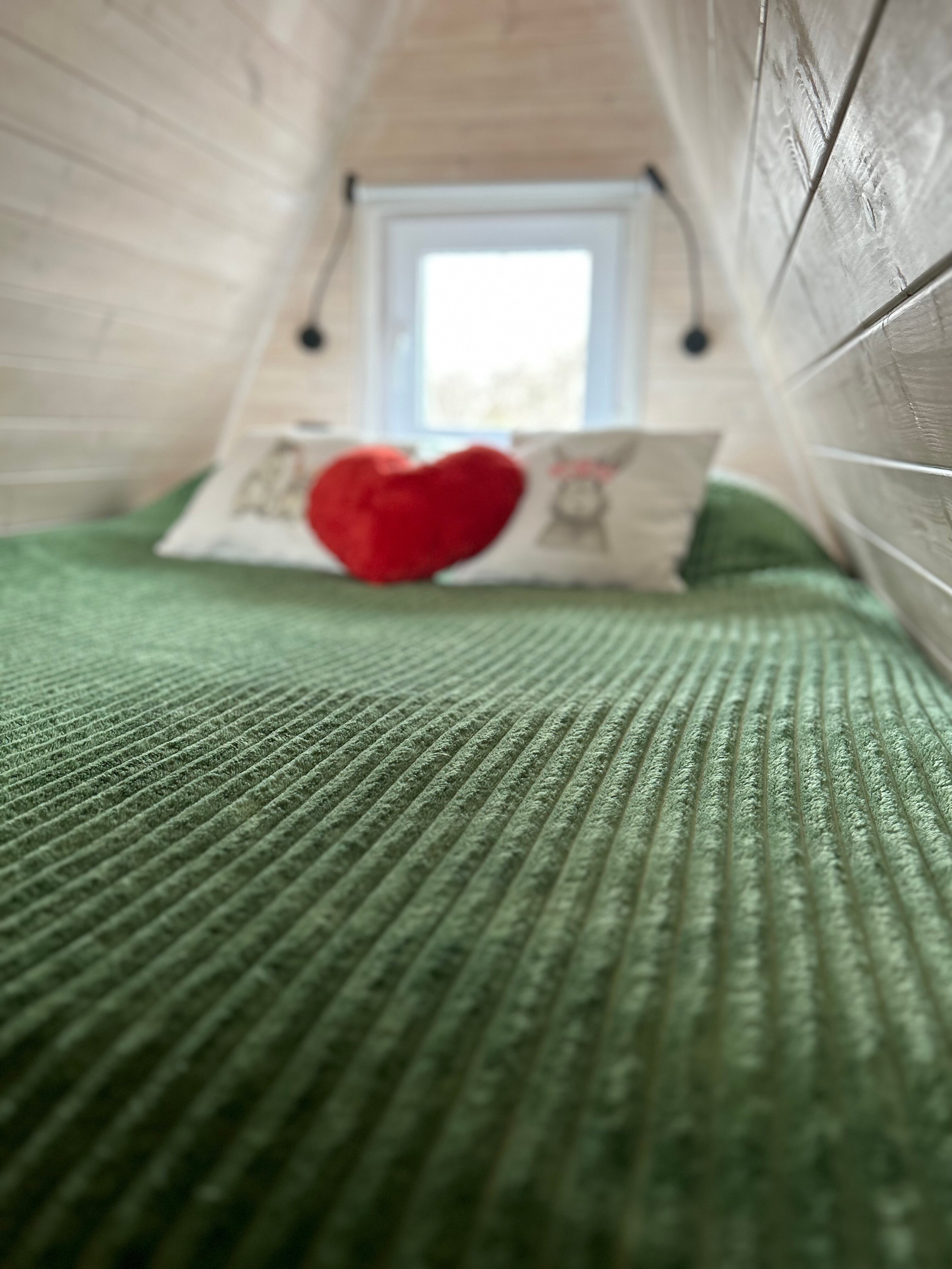 Фото Дельта