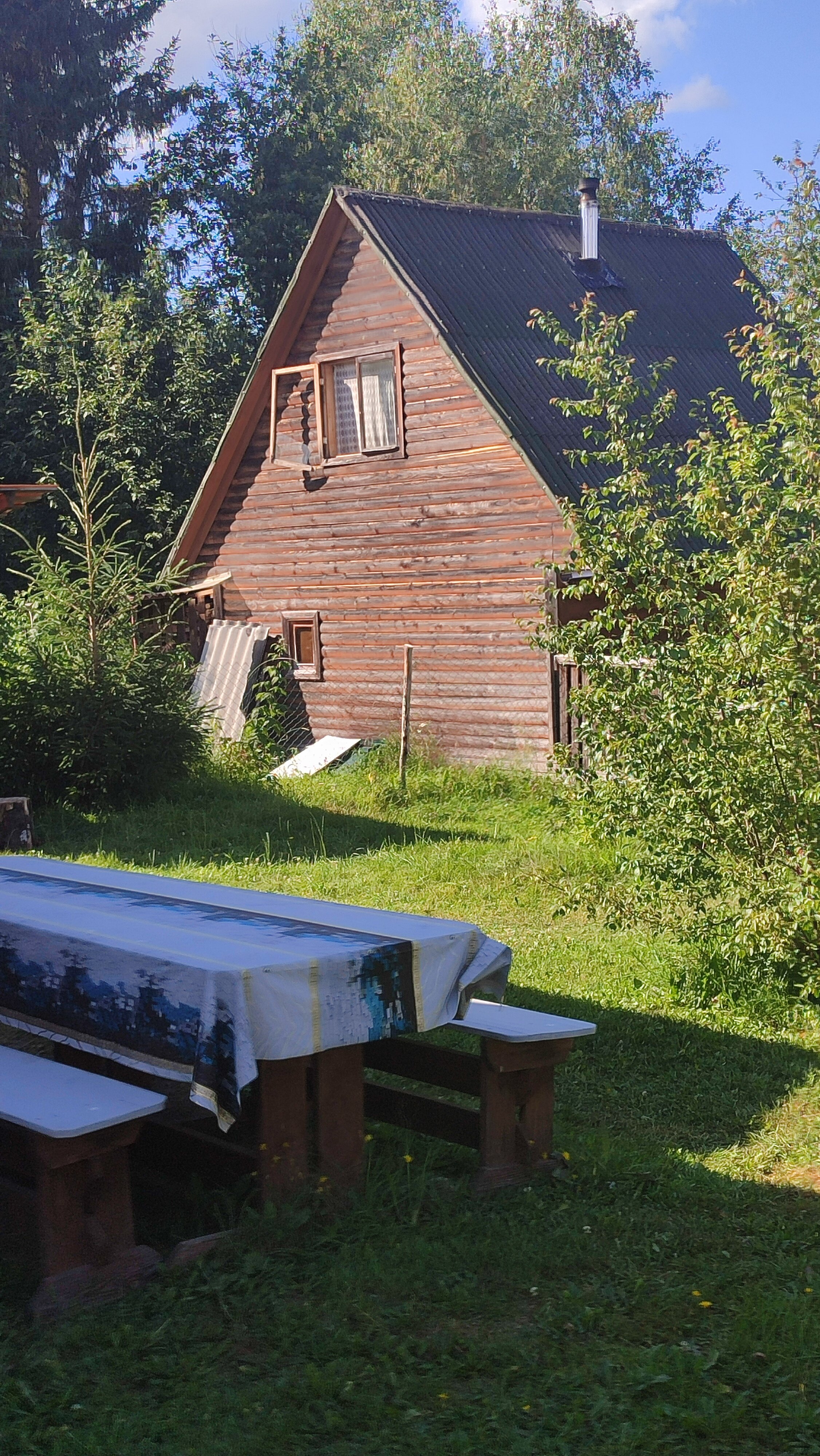 Фото Плотично