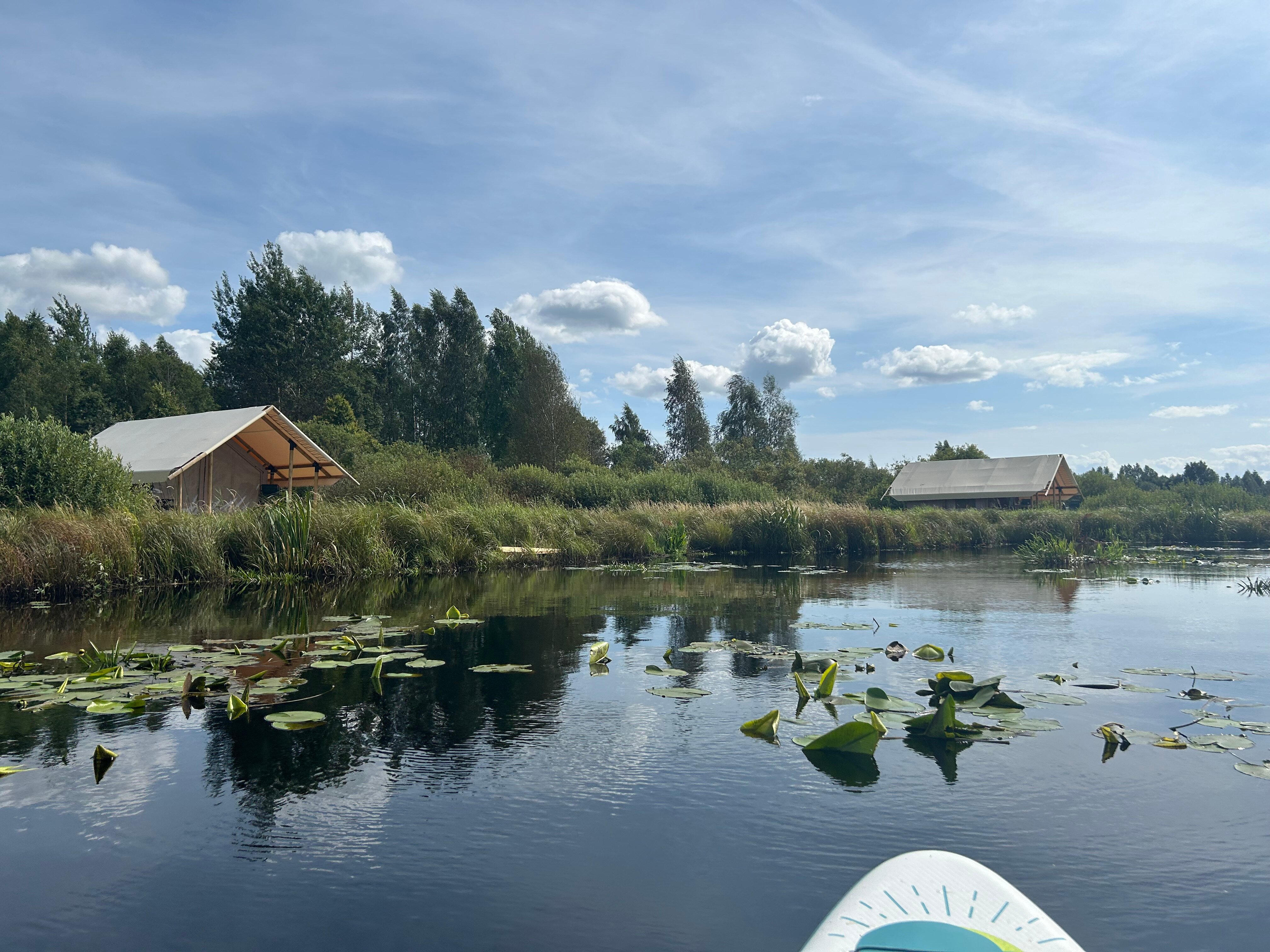 Фото Сад имени Александра Невского