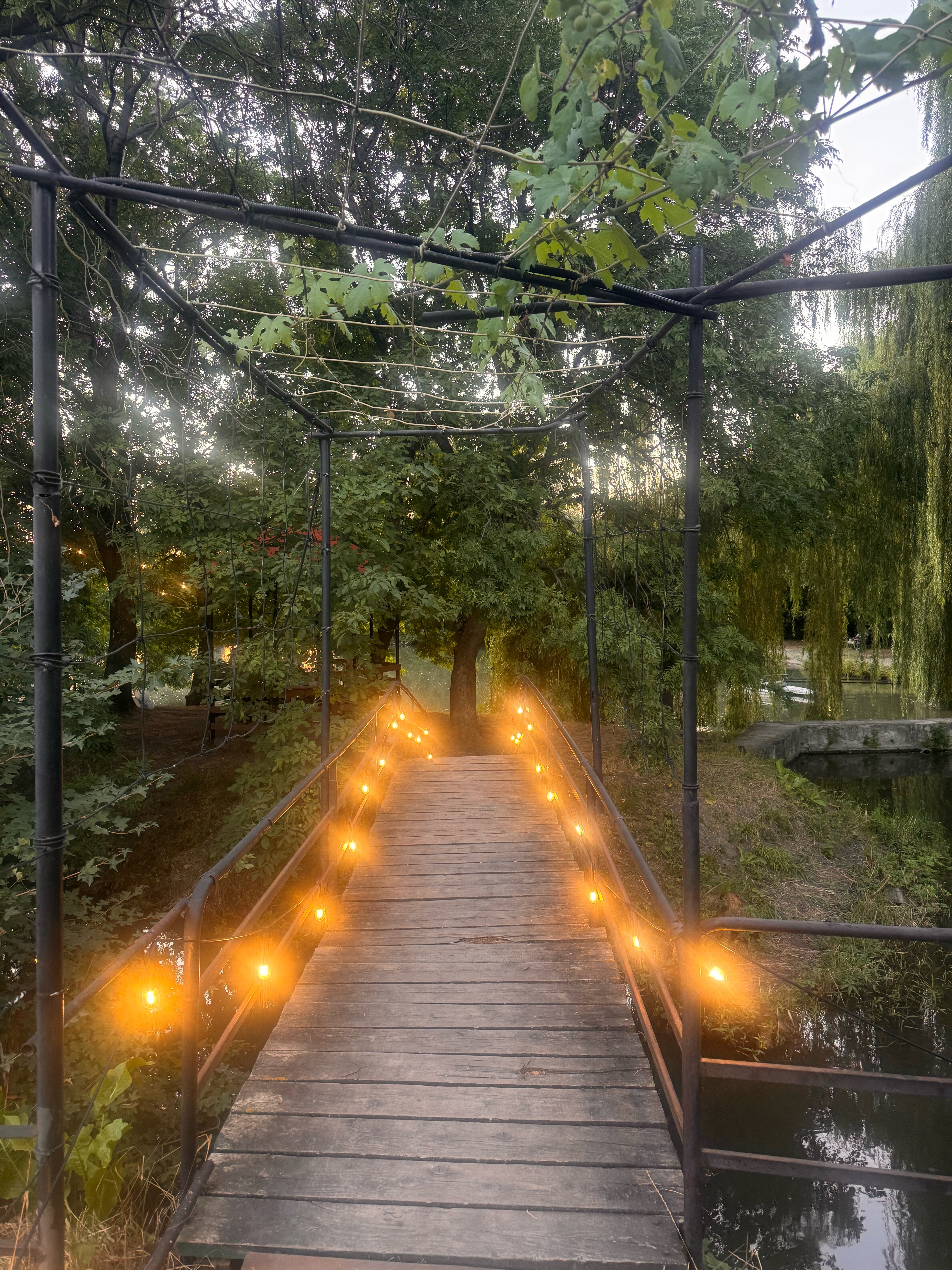 Фото Тихий пруд