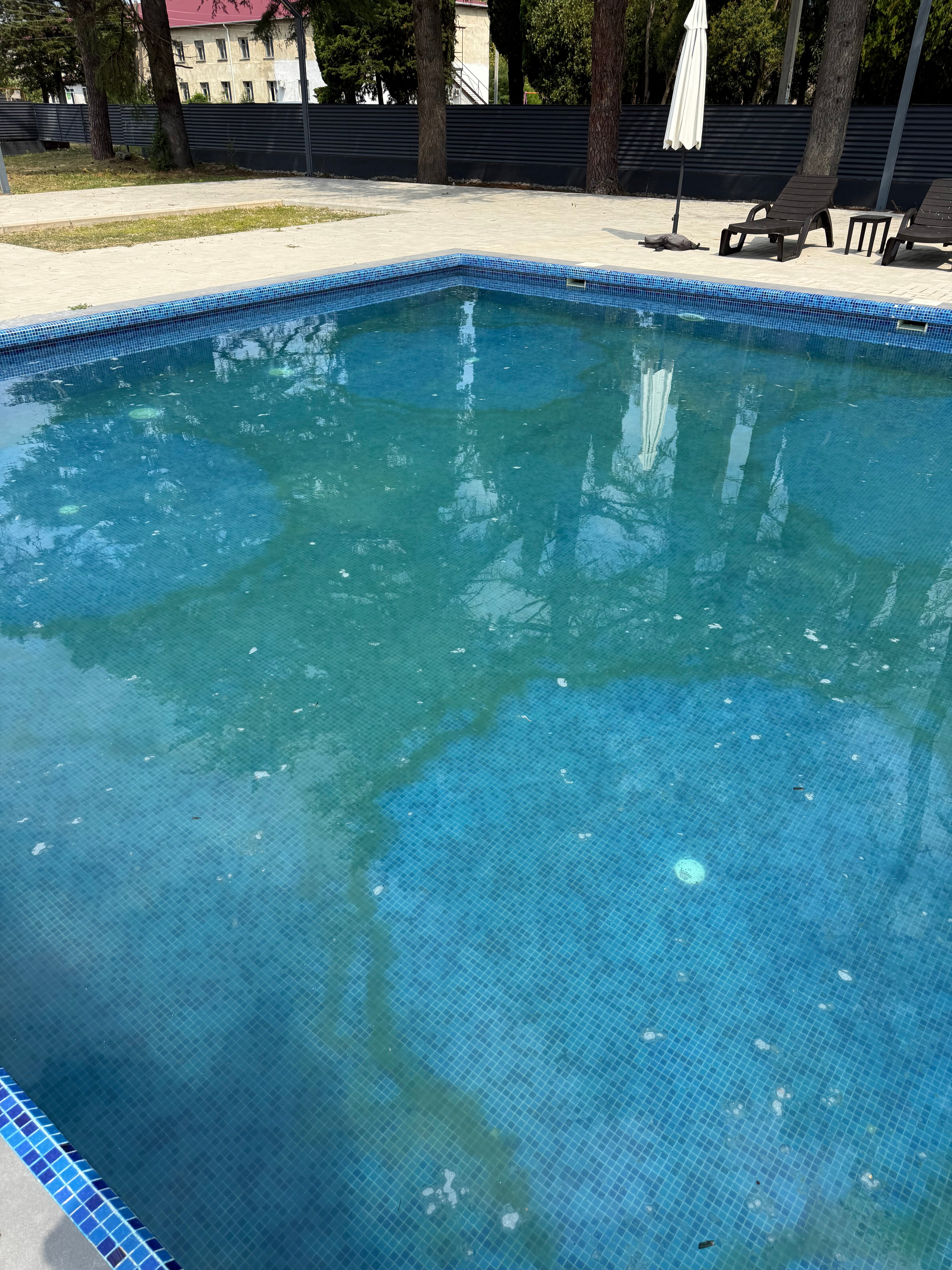 Фото Шоколад