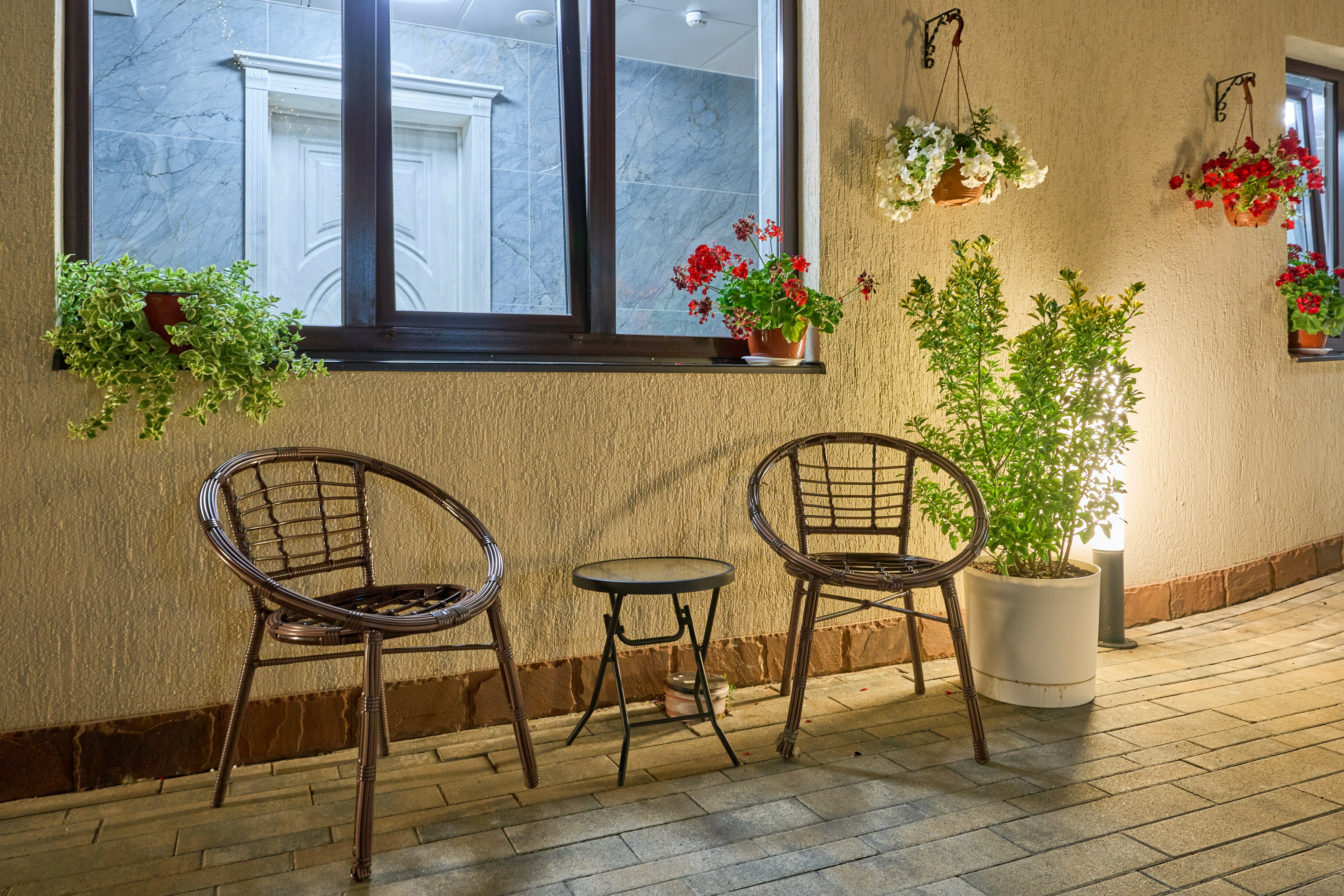 Фото Astra de Rosa