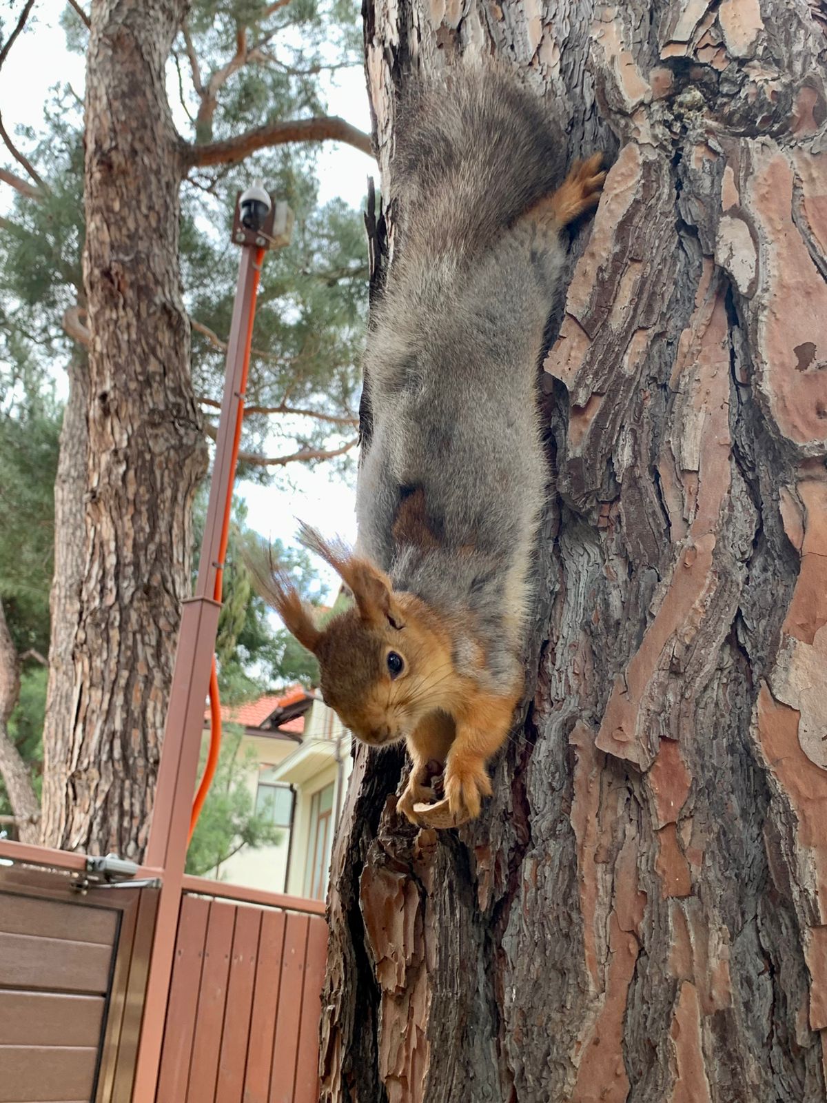 Фото Уютный дворик