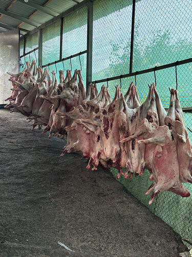 Әжелері бар анальный порно