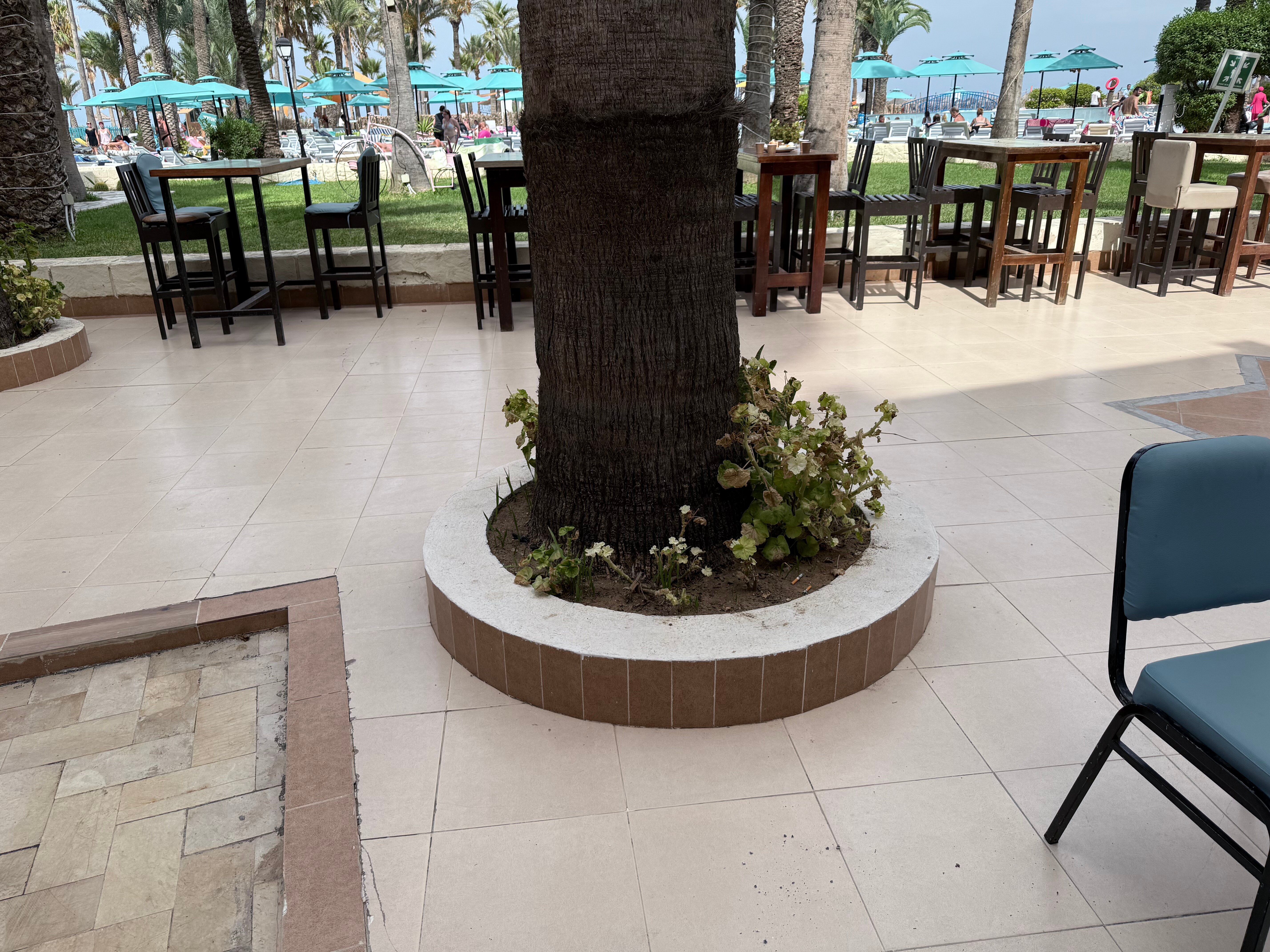 Фото Riadh Palms Resort and SPA