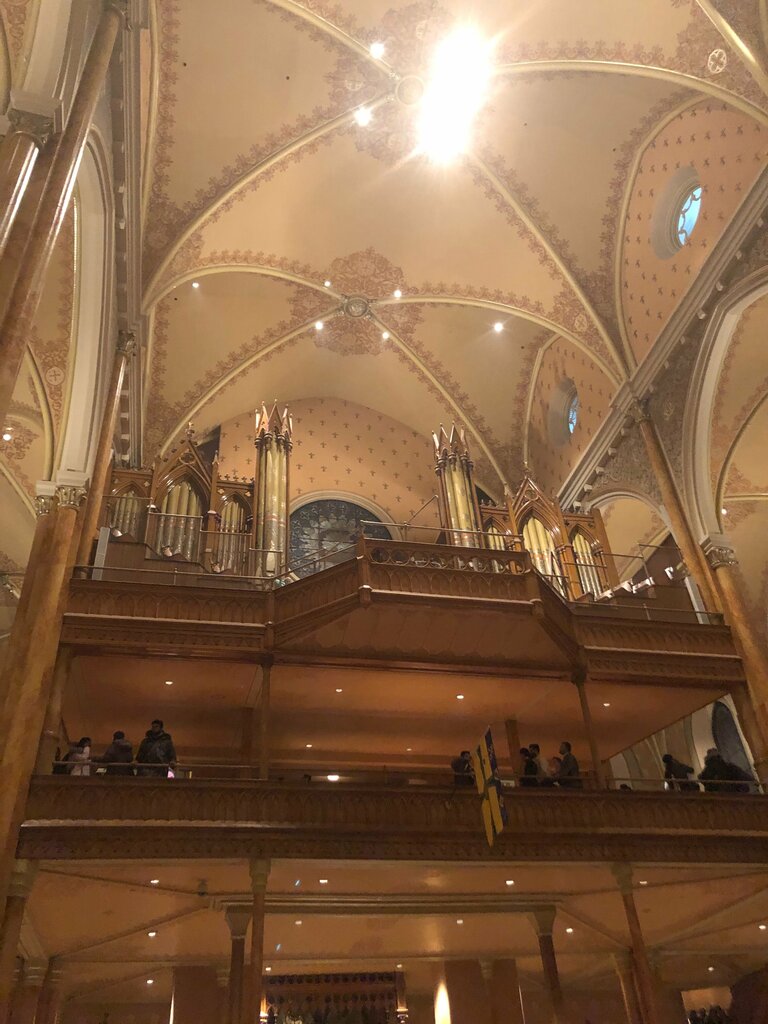 Catholic church St. Patrick's Basilica, Montreal, Montreal, photo