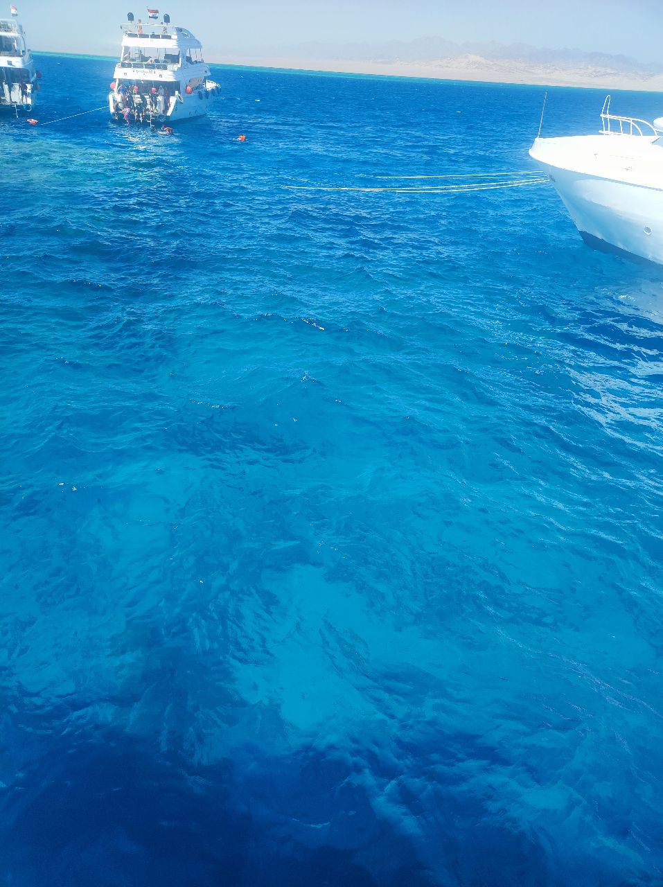 Фото Old Vic Sharm Resort