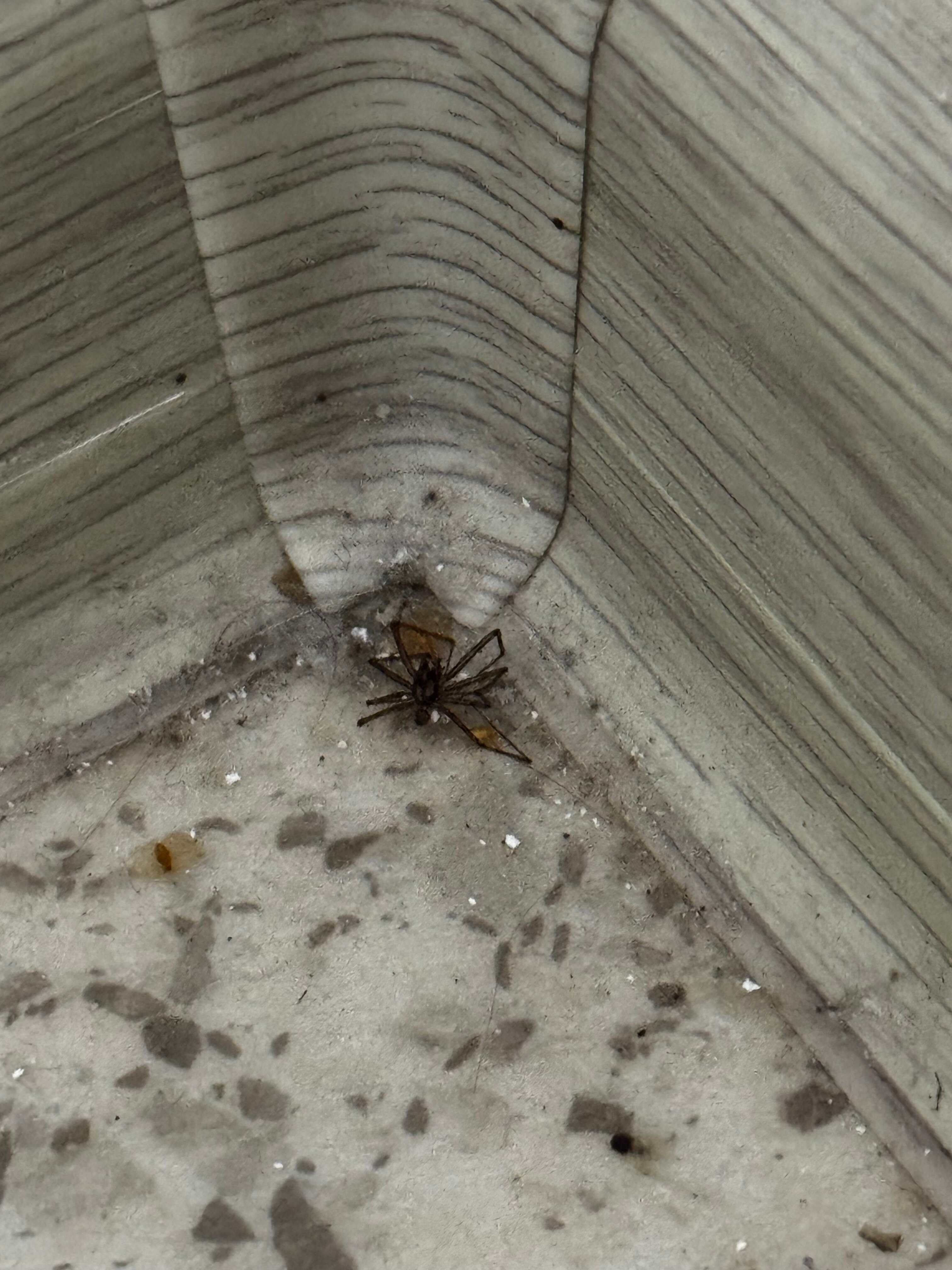 Фото Хостел № 1