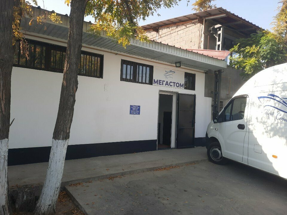 Medical goods and consumables MEGAstom, Chimkent, photo