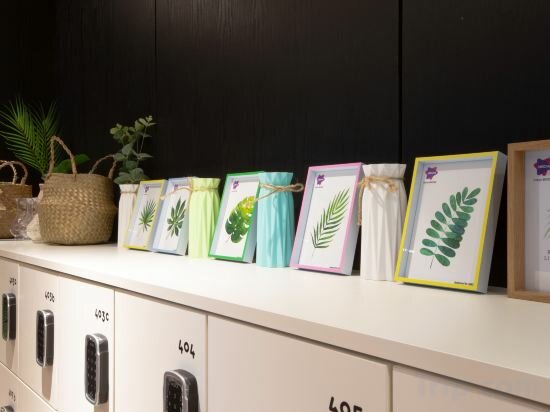 Фото Brosis Hotel