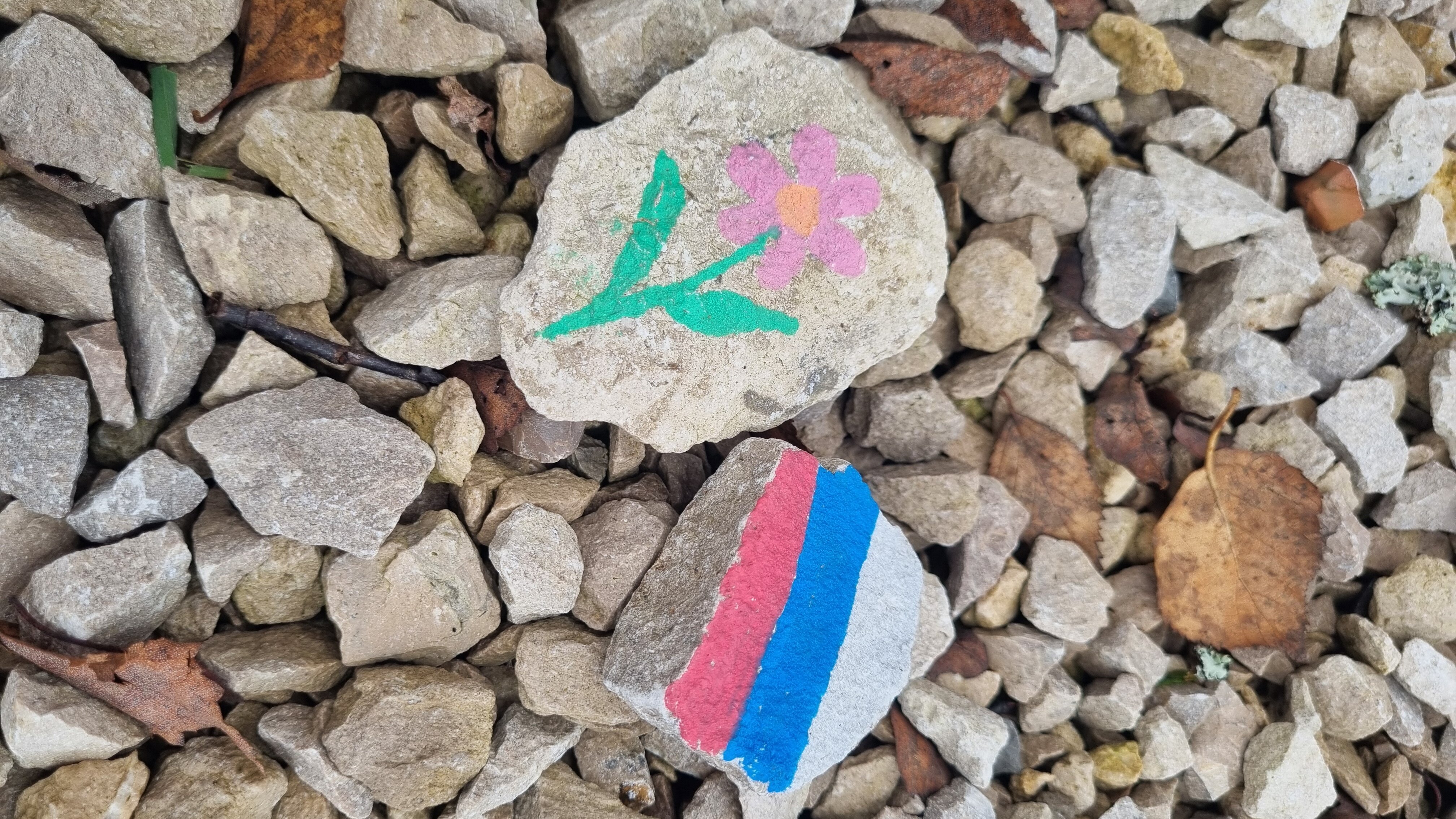 Фото У леса