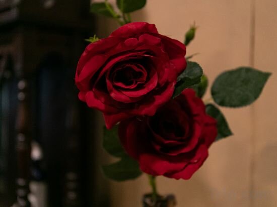 Фото Victoria Inn Nagasaki