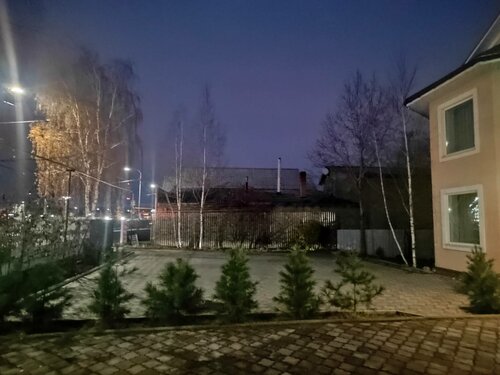 Брусника  фото 1