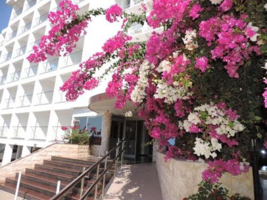 Фото Corfu Hotel