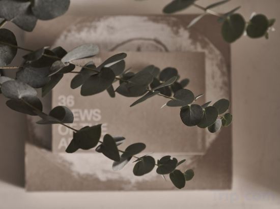 Фото The Newel Psychiko