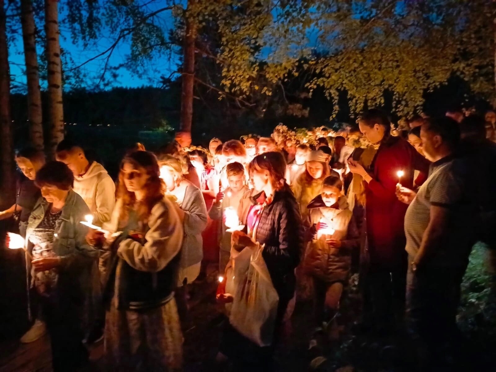 Фото Стрижели