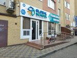 Global School (Rogozhnikova Street, 3), foreign language courses
