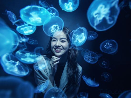 Фото Resorts World Sentosa - Equarius Villas