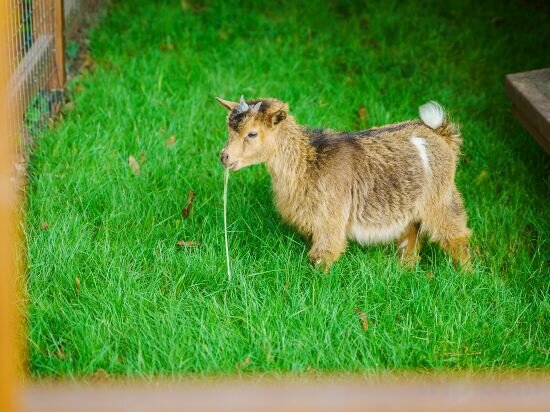 Фото Grand New Century Hotel Xuzhou