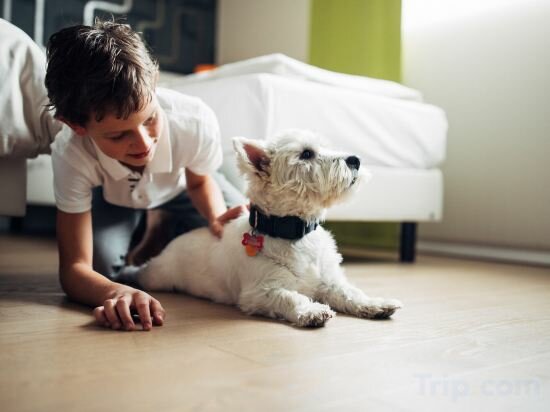 Фото Harry's Home Dornbirn