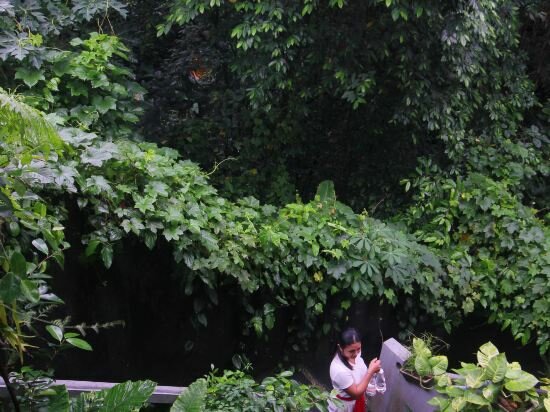 Фото Sari Gong Guest House, A Trishula Collection