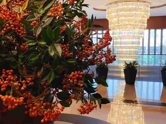 Фото LJZ Supreme Tower Hotel