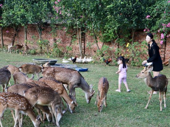 Фото Asean Resort - Shiki Onsen & SPA